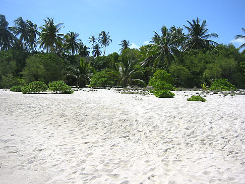 Der weiße Sandstrand Fotos