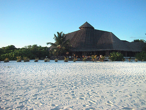Der weiße Sandstrand der Malediven Foto 