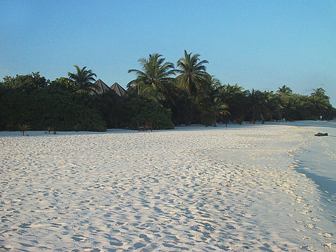 Der weiße Sandstrand der Malediven