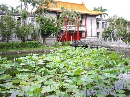 Botanischer Garten Foto 