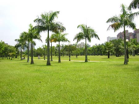 Fotos Daan Park