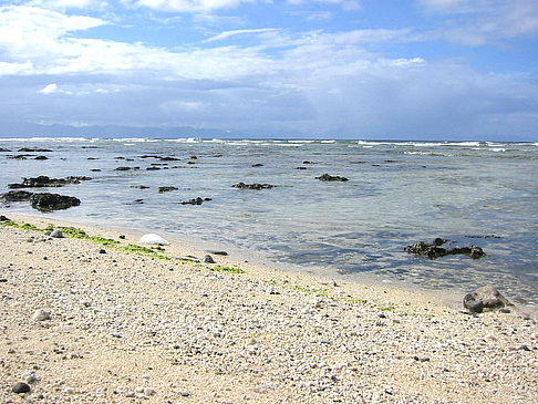 Green Island Foto 