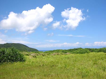 Green Island