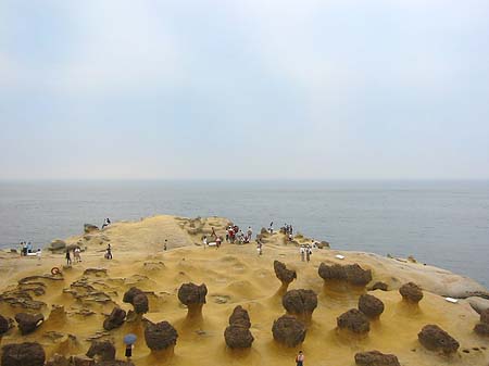 Fotos North East Coast | 